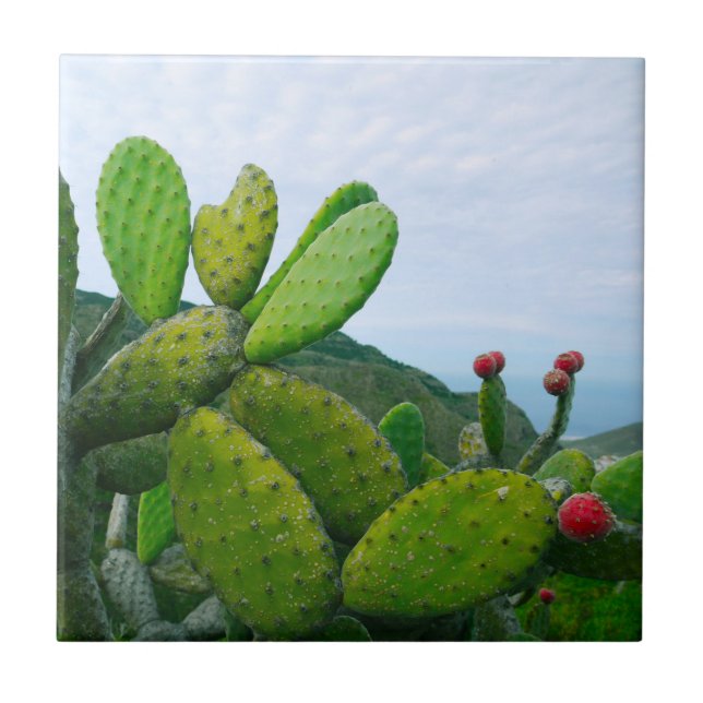 Südwestkaktus Prickly Birne Sukkulente Wüste Fliese (Vorderseite)