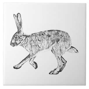 Südwestlicher Jackrabbit  Feder- und Tintenzeichnu Fliese