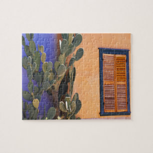 Südwestlicher Kaktus (Opuntia dejecta) und
