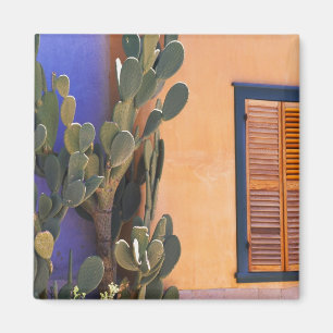 Südwestlicher Kaktus (Opuntia dejecta) und Magnet