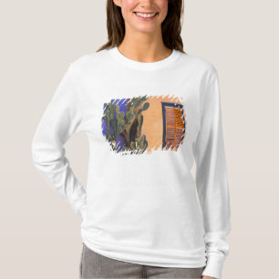 Südwestlicher Kaktus (Opuntia dejecta) und T-Shirt