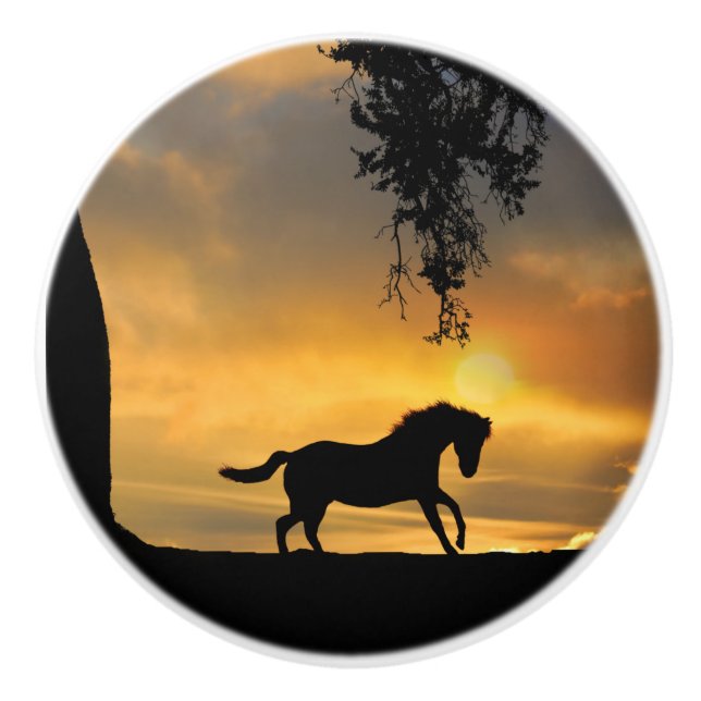 Südwestliches Galloping Pferd Land Keramikknauf (Vorderseite)