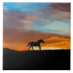 Südwestliches Pferd und Sonnenaufgang Kunst Fliese