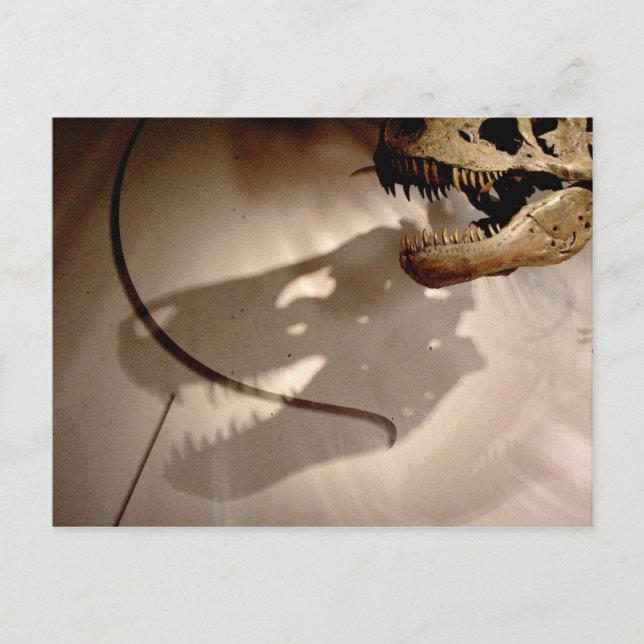 Sue's Shadow Postkarte (Vorderseite)