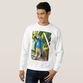 Suéter Básico Masculino Arara Azul Sweatshirt