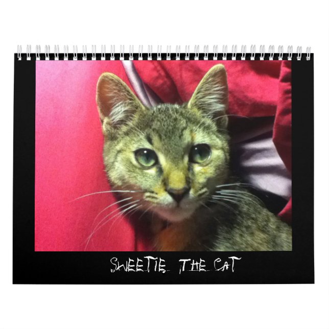 SUÉTIE LE calendrier CAT (Protection)