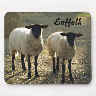 Suffolk Sheep Late Day Sunshine Barnyard Pasta Mousepad