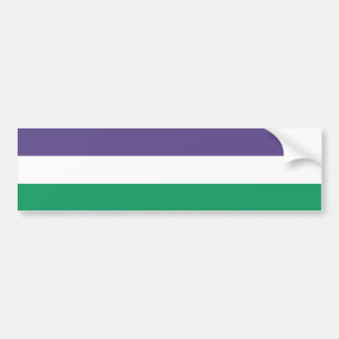 Suffragette Flag Frauensuffrage Pro-Choice Autoaufkleber