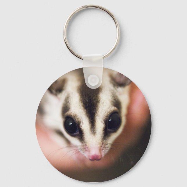 Sugar Glider keychain Schlüsselanhänger (Vorderseite)