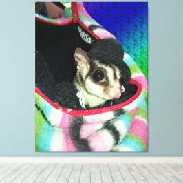 Sugar Glider mit einem Hut Leinwanddruck
