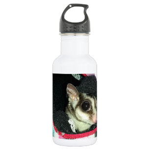Sugar Glider mit einem Hut Trinkflasche