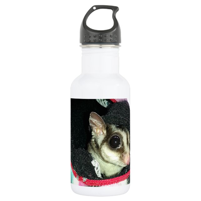Sugar Glider mit einem Hut Trinkflasche (Vorderseite)