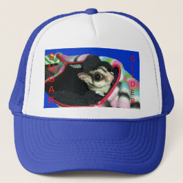 Sugar Glider mit einem Hut Truckerkappe