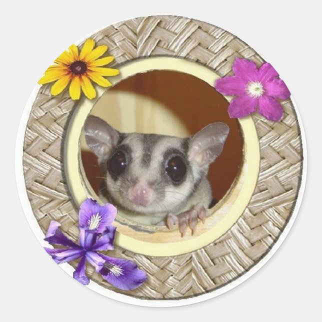 Sugar Glider Runder Aufkleber (Vorderseite)