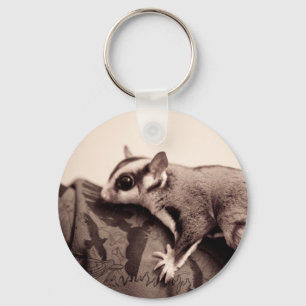 Sugar Glider Schlüsselanhänger