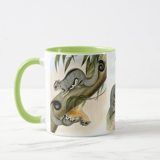 Sugar glider tasse (Links)