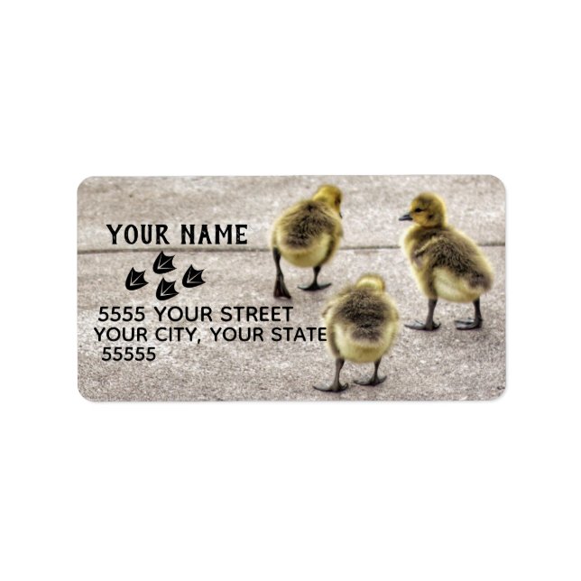 Suivez les Étiquettes de adresse de Canards (Devant)