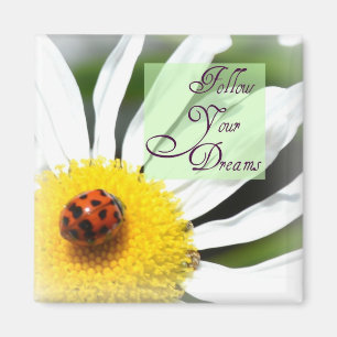 Suivez votre aimant de coccinelle de rêves