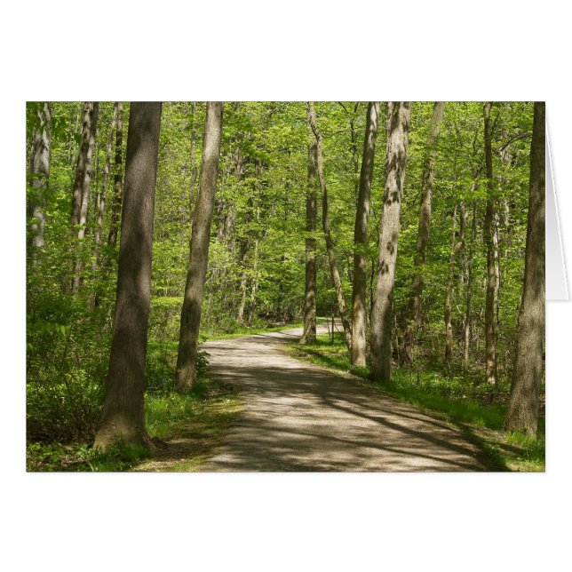 Suivez votre carte Dream (Devant horizontal)