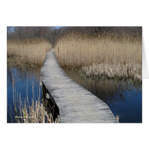 Suivez votre chemin : Plum Island, MA