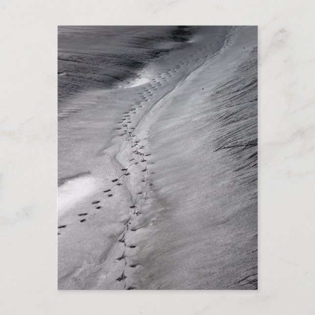 suivre carte postale (Devant)