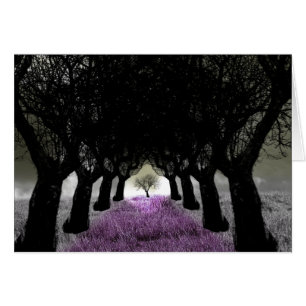 Suivre Le Chemin De L'Herbe Violette