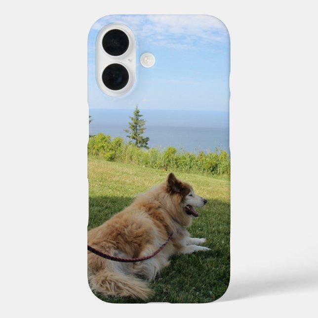 Suka Enjoying Cape George iPhone 16 Hülle (Rückseite)