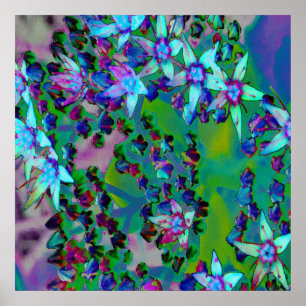 Sukkuläre Blume des Wassers, Lila und blau Poster