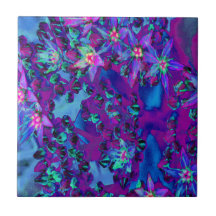 Sukkuläre Blume in Aquamarin, Magenta und Blau