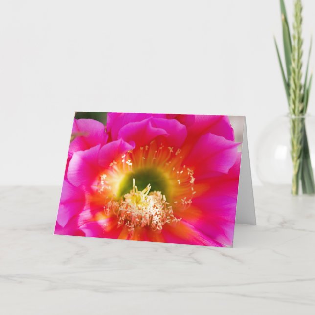 Sukkuläre Blume Makro Karte (Vorderseite)