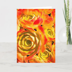 Sukkuläre Echeveria-Pflanze Karte