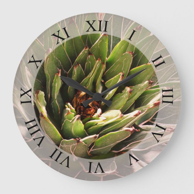 Sukkuläre Pflanze Botanische Fotografie Große Wanduhr (Vorderseite)