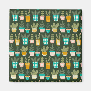 Sukkuläre Pflanze Magnet