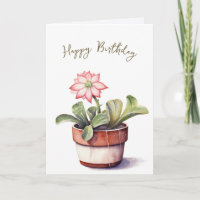 Sukkuläre Pflanze mit Blume zum Geburtstag