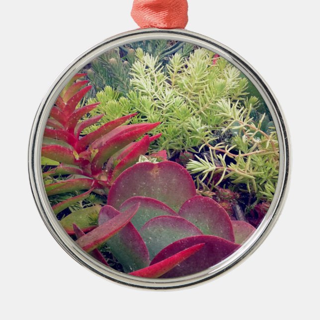 Sukkuläre Pflanze Silbernes Ornament (Vorne)