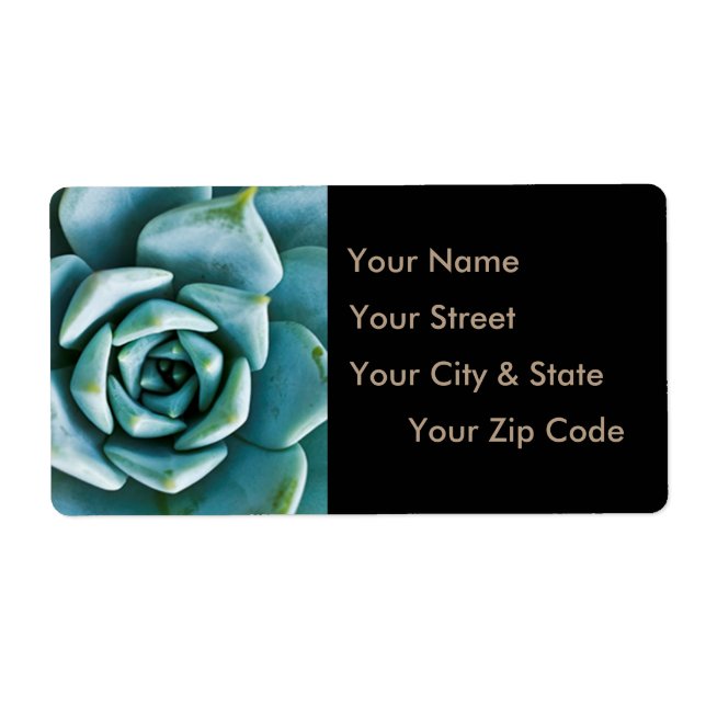 Sukkuläre Schließung (Vorne)