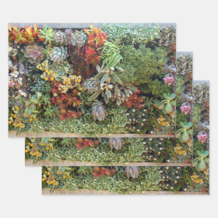 Sukkulärer Garten 2 Geschenkpapier Set
