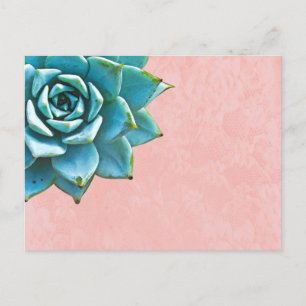 Sukkuläres Aquarellpinsel Postkarte