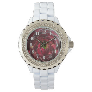 Sukkuläres Foto Red Burgund Küste Pflanze Armbanduhr