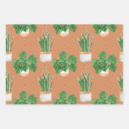 sukkulent geschenkpapier set