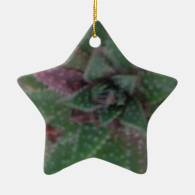 Sukkulent, grün Lila, Natur, Flora Pflanze Keramik Ornament (Vorne)