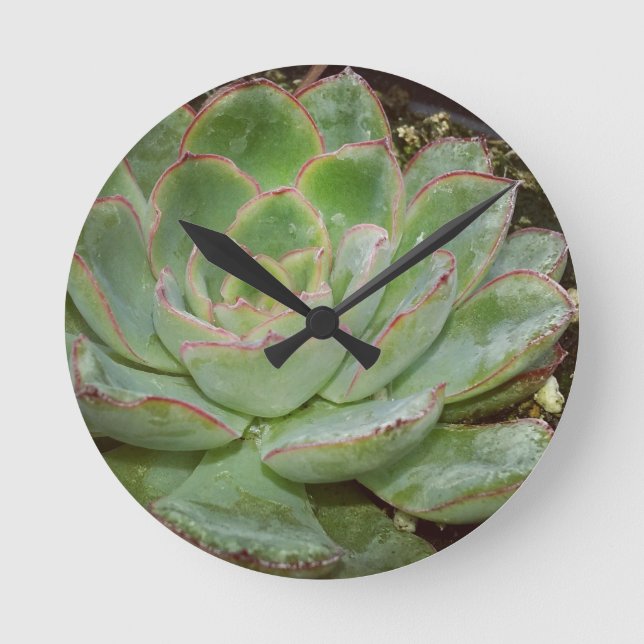 Sukkulent, Hen und Küken Runde Wanduhr (Vorderseite)