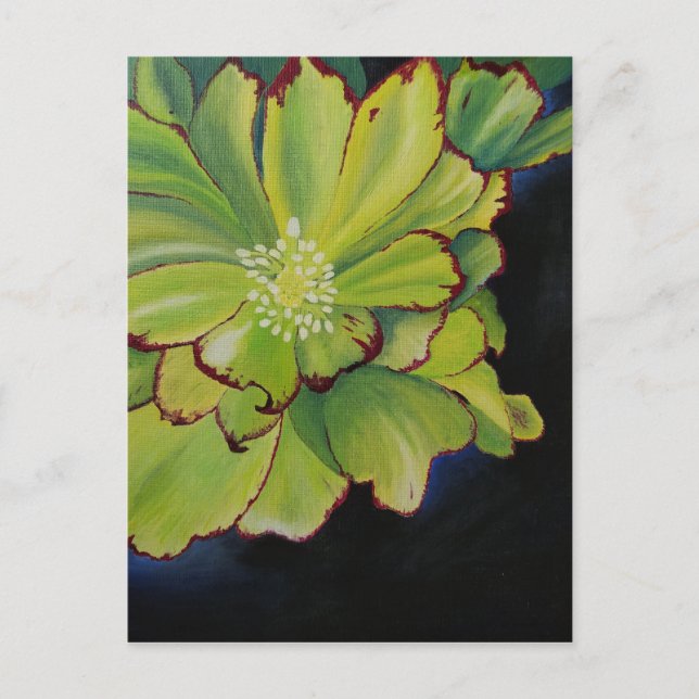 sukkulent postkarte (Vorderseite)