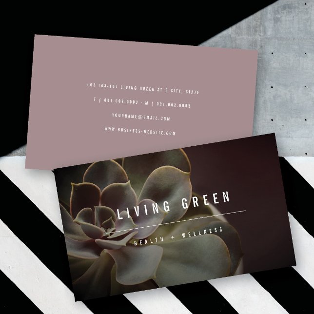 Sukkulente Blume Minimalistisches Foto Wellness-Ce Visitenkarte (Succulent Flower Minimalist Photo Spa Wellness Business Card @ fatfatin)