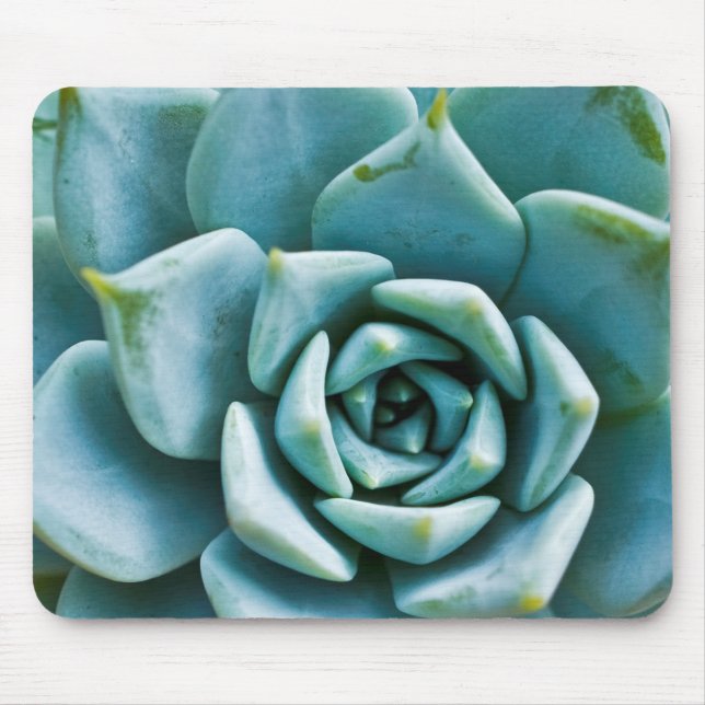 Sukkulente Mousepad (Vorne)
