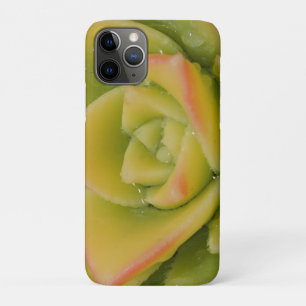 Sukkulente Rosetten-Natur-Pflanzen-Foto-Kunstprint Case-Mate iPhone Hülle