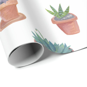 Sukkulente und Kakteen auf weißem Hintergrund Gesc Geschenkpapier