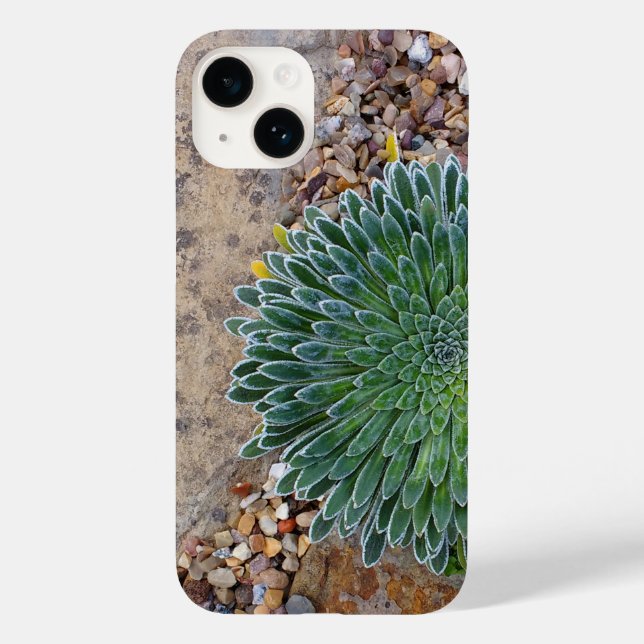 Sukkulente Wüste-Pflanze Case-Mate iPhone 14 Hülle (Rückseite)