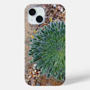 Sukkulente Wüste-Pflanze Case-Mate iPhone Hülle