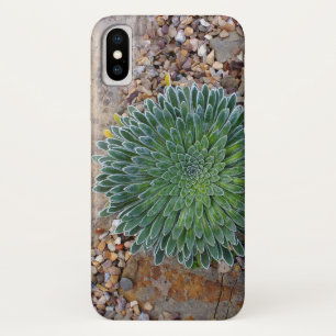 Sukkulente Wüste-Pflanze Case-Mate iPhone Hülle